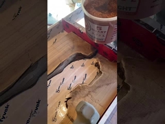 درخشش درخشنده در رزین ریختگی عمیق